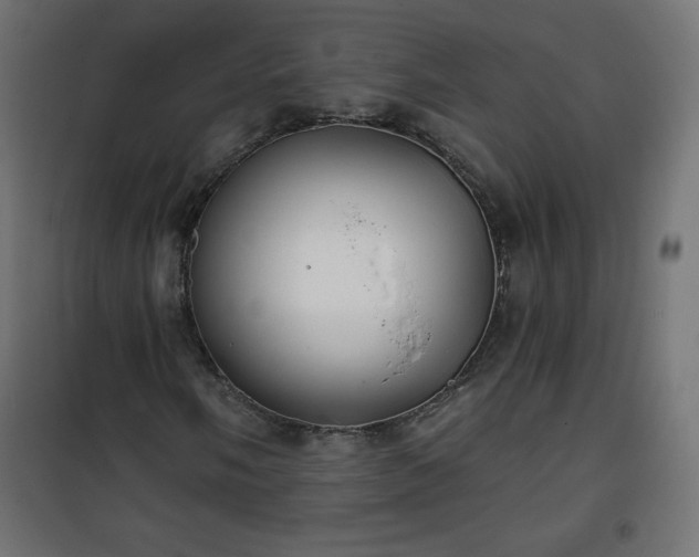 X0000101141058200807071121