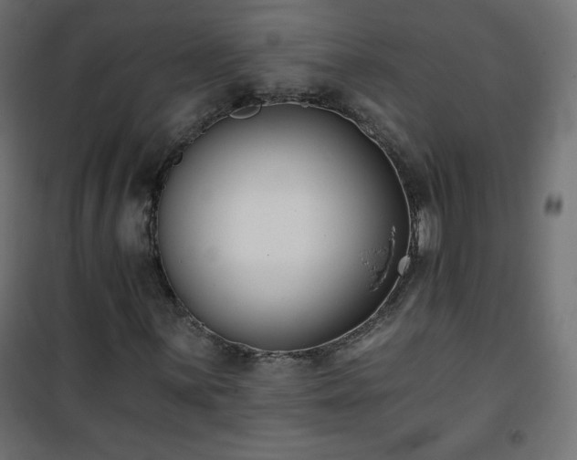 X0000101141059200807071121