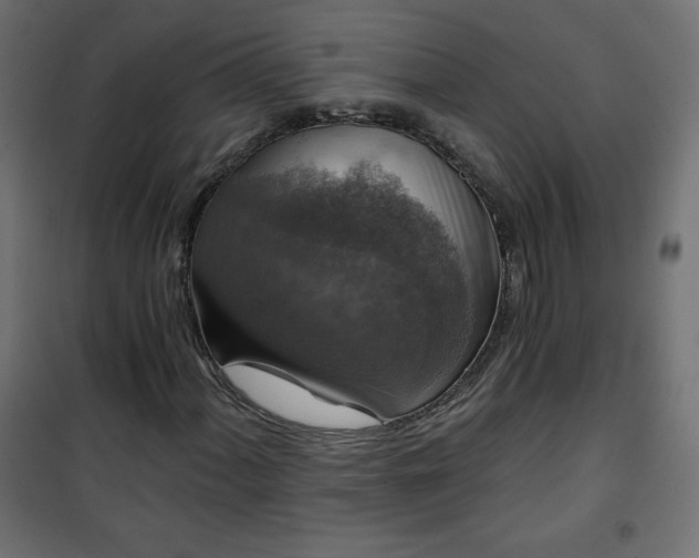 X0000101141060200807071121