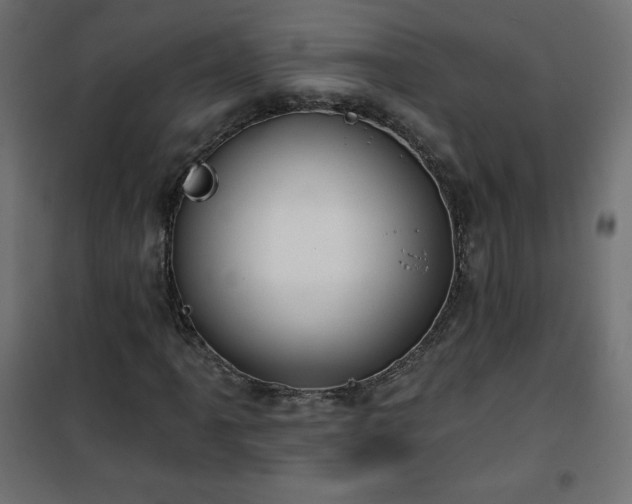 X0000101141061200807071121