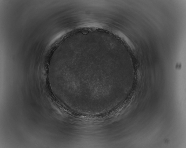 X0000101141064200807071121