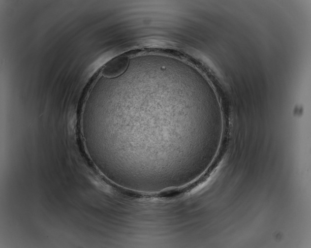 X0000101141065200807071121