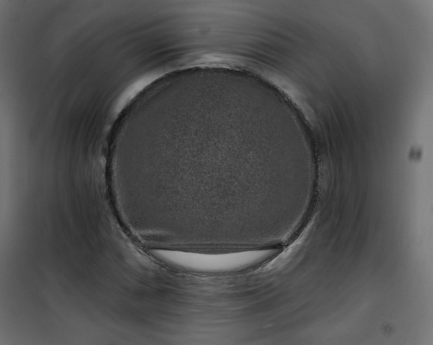 X0000101141066200807071121