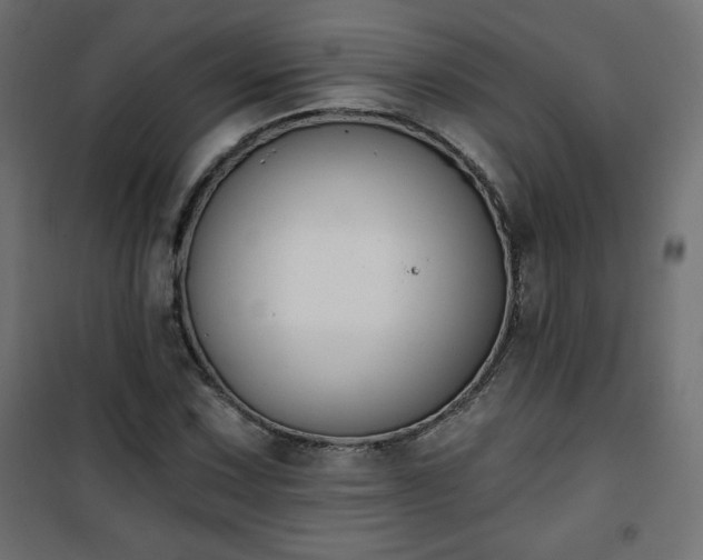 X0000101141067200807071121