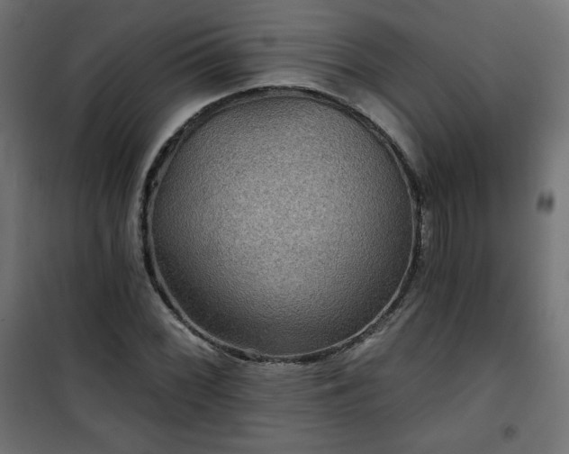 X0000101141068200807071121