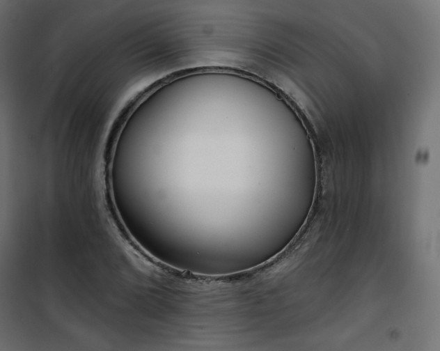 X0000101141072200807071121