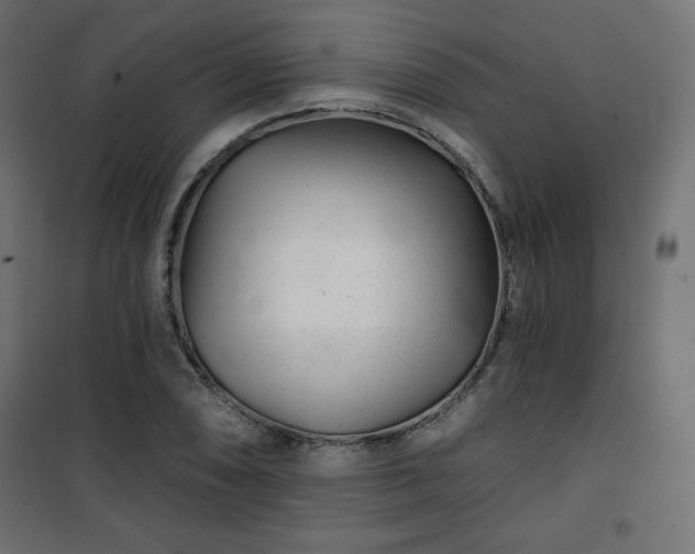 X0000101141074200807071120