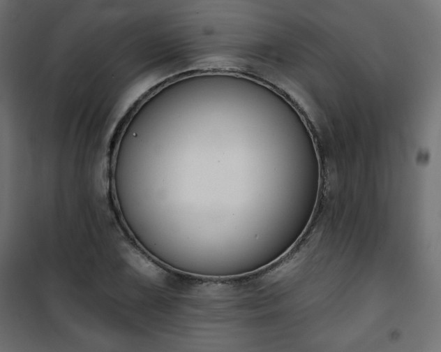 X0000101141075200807071120