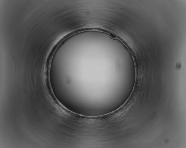 X0000101141076200807071120