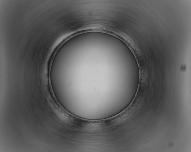 X0000101141078200807071120