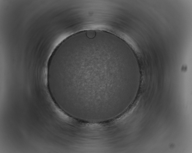 X0000101141079200807071120