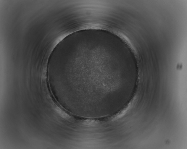 X0000101141081200807071120