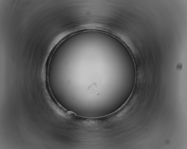 X0000101141082200807071120