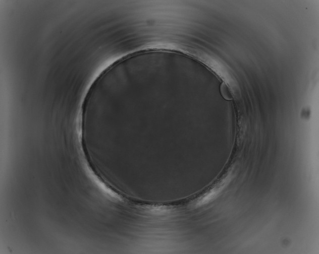 X0000101141084200807071120