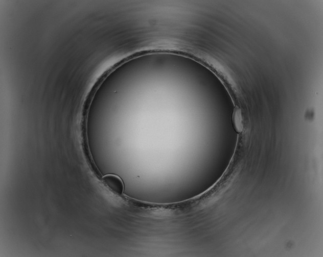 X0000101141085200807071120