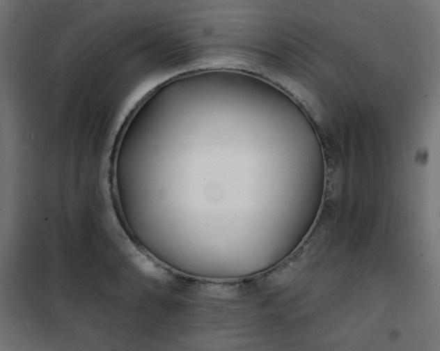 X0000101141086200807071120