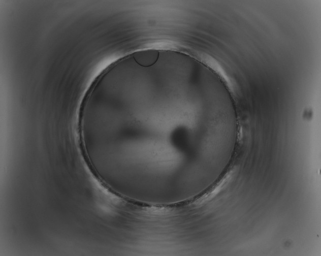 X0000101141087200807071120