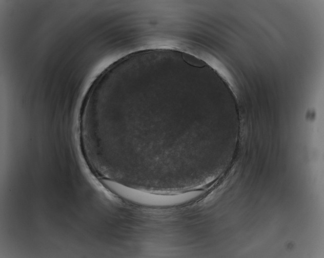 X0000101141088200807071120