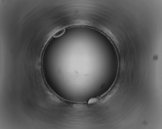 X0000101141089200807071120