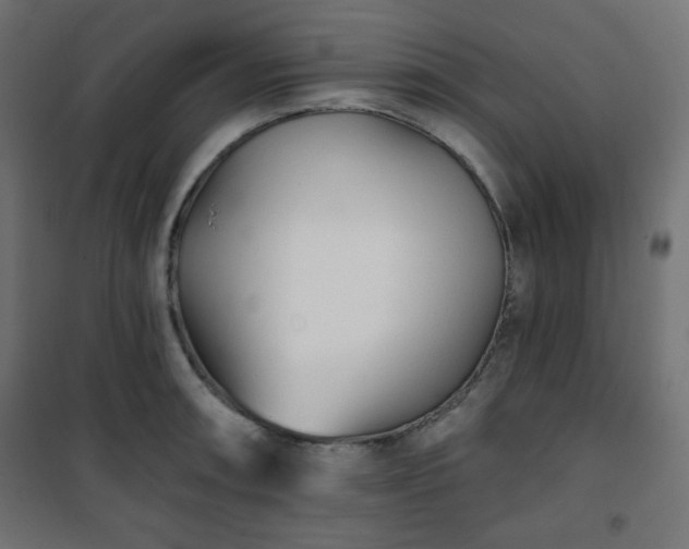 X0000101141090200807071120