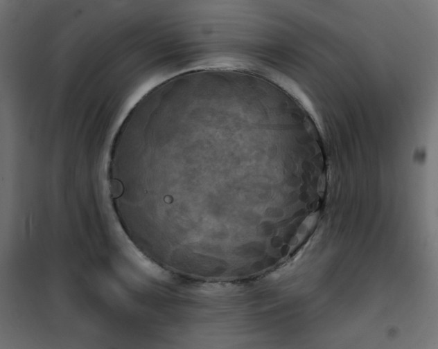 X0000101141091200807071120