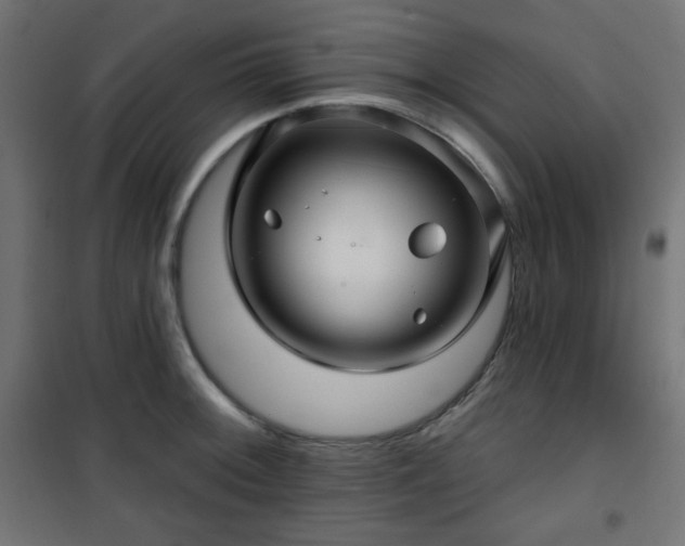 X0000101141092200807071120