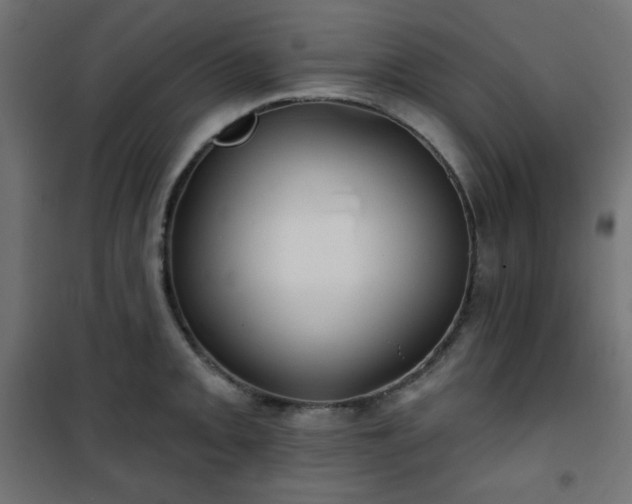 X0000101141093200807071120