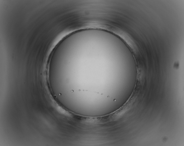 X0000101141094200807071120