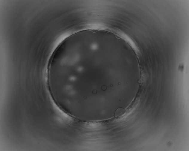 X0000101141095200807071120