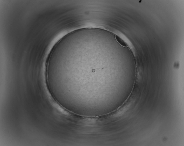 X0000101141096200807071120