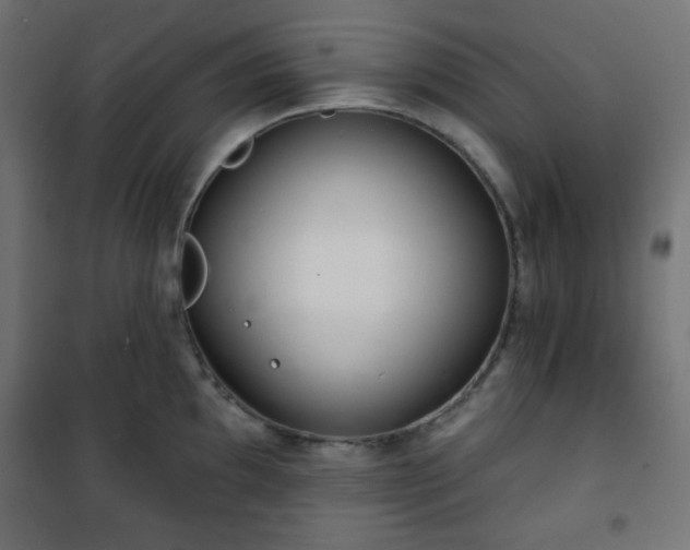 X0000101141097200807071120