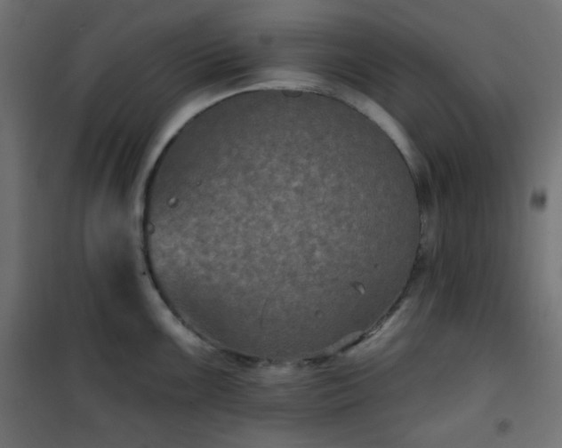 X0000101141099200807071120