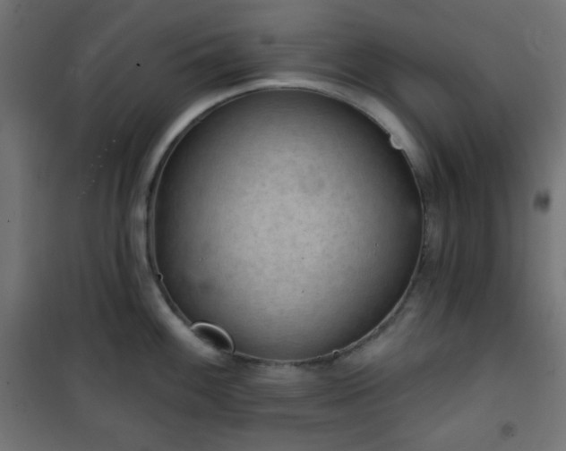 X0000101141100200807071120