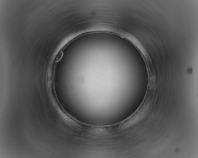 X0000101141101200807071120