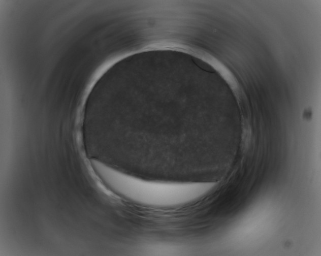 X0000101141102200807071120