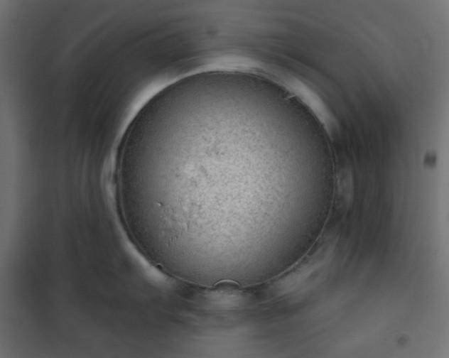 X0000101141103200807071120