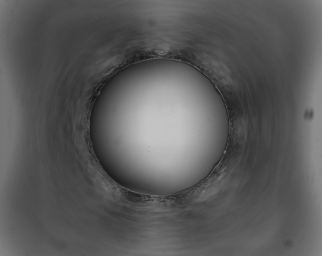 X0000101141105200807071119