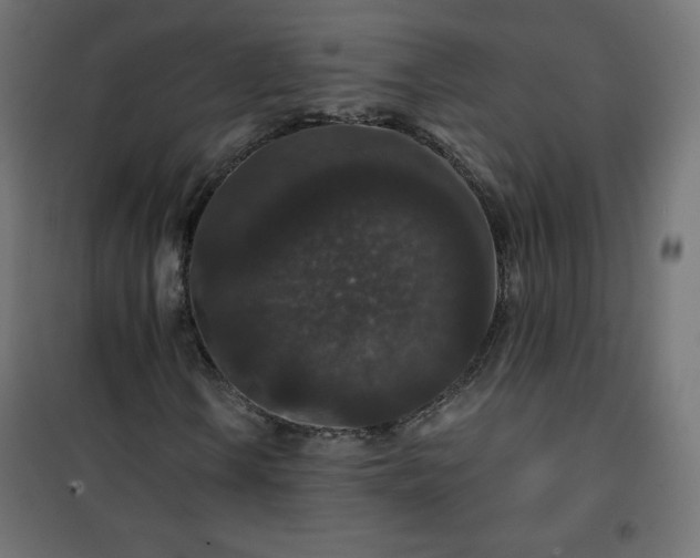 X0000101141106200807071119