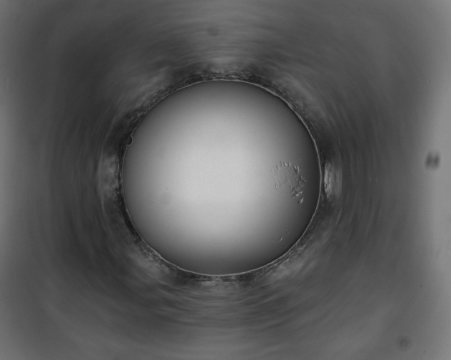 X0000101141107200807071119