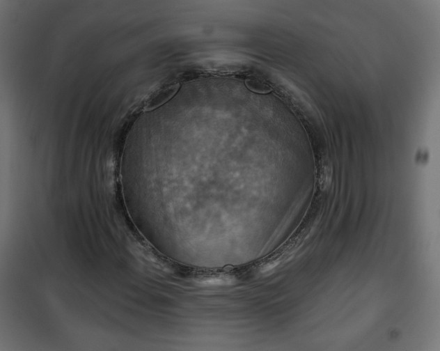 X0000101141108200807071119