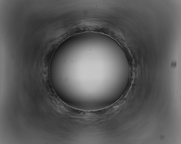 X0000101141109200807071119