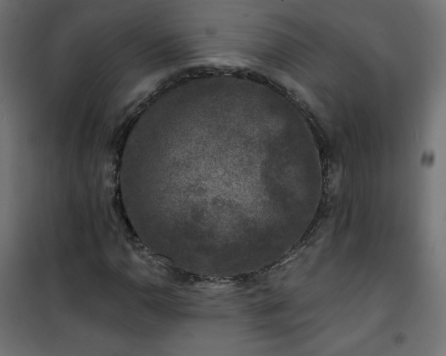 X0000101141110200807071119