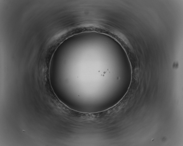 X0000101141111200807071119