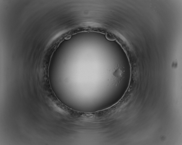 X0000101141112200807071119