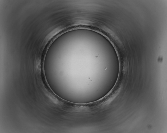 X0000101141113200807071119