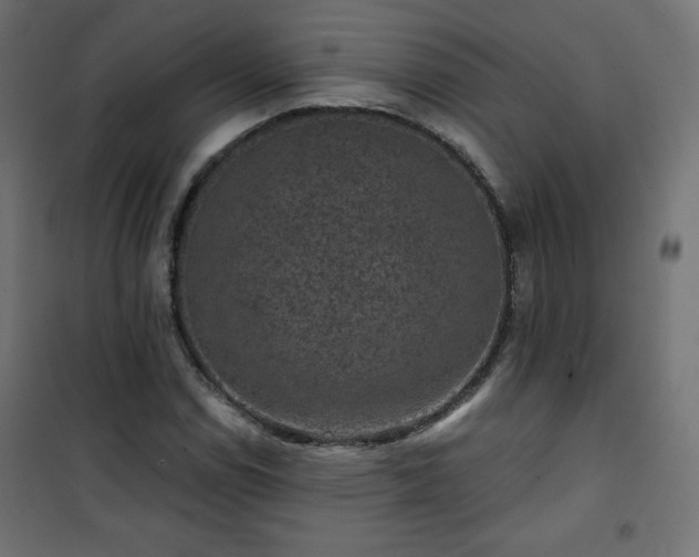 X0000101141114200807071120