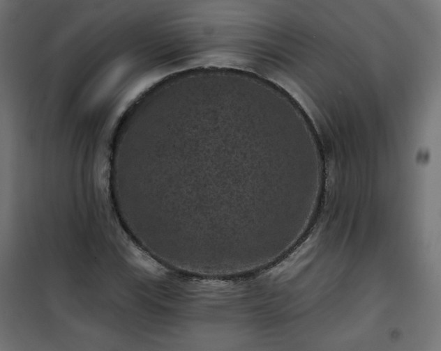 X0000101141115200807071120