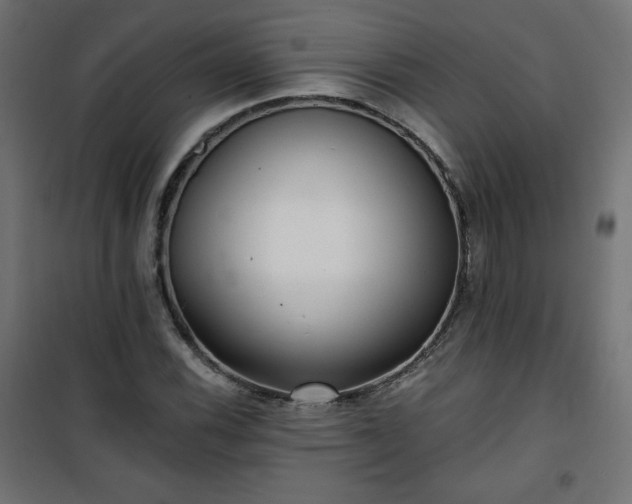 X0000101141116200807071120