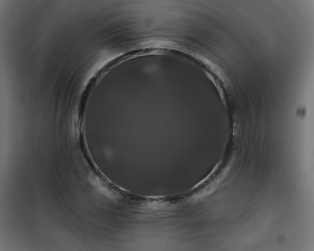 X0000101141117200807071120