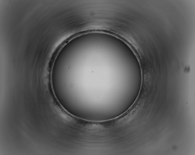 X0000101141119200807071120